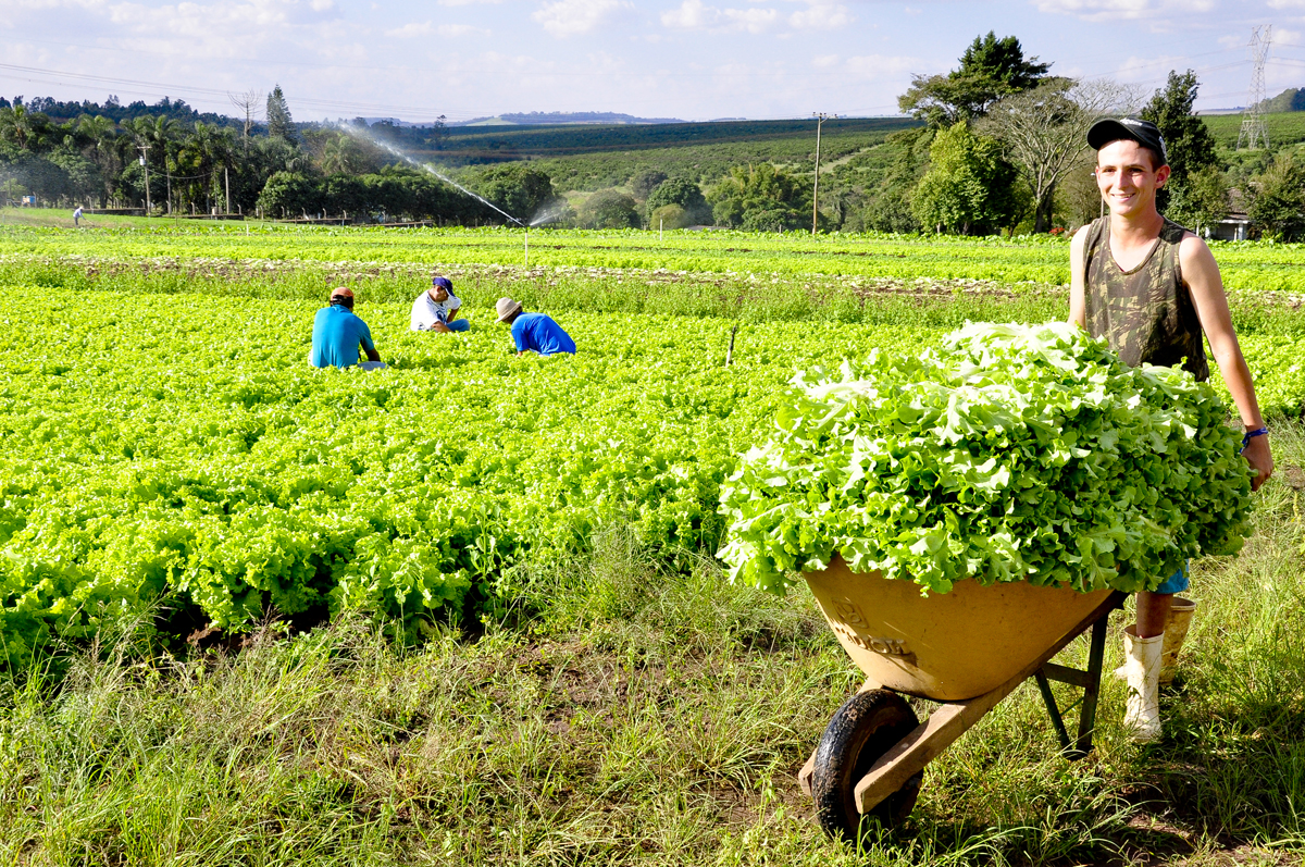 Produtores rurais