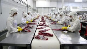 20 figroríficos proibiodos de exportar para UE