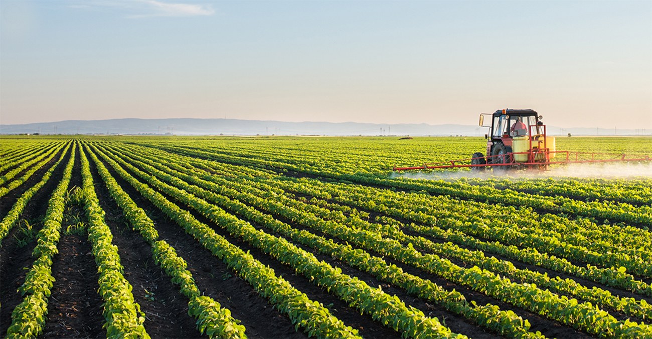 Intensificação sustentável da produção agropecuária com sistemas ILPF será apresentada em evento on-line gratuito