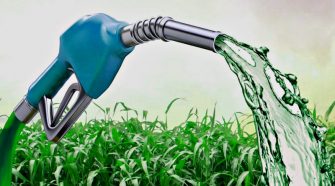 Embrapa Agroenergia lança edital de inovação aberta em biocombustíveis e bioprodutos
