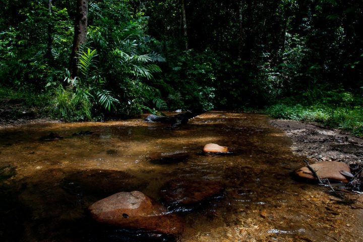 Dia estadual do rio Japaratuba, patrimônio natural de Sergipe