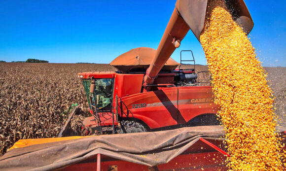 Último levantamento da safra 2020/21 confirma redução na produção de grãos