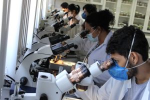 Ministério da Saúde, em parceria com o ITP, Unit e Lacen, promove capacitação de técnicos para identificação de vetores da Doença de Chagas