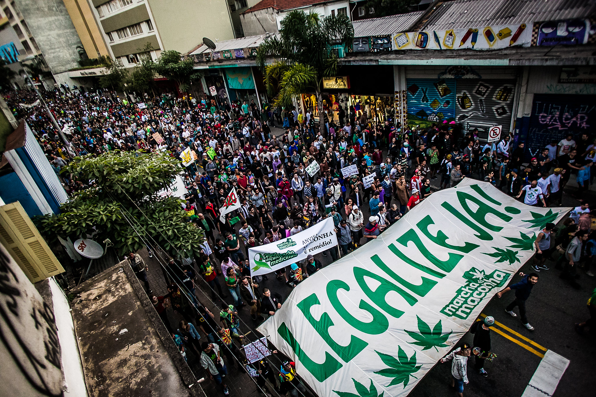 Enquanto o Brasil ainda inicia trabalho para a regularização da cannabis, exterior usufrui de mercado que pode valer US＄120 bilhões até 2026