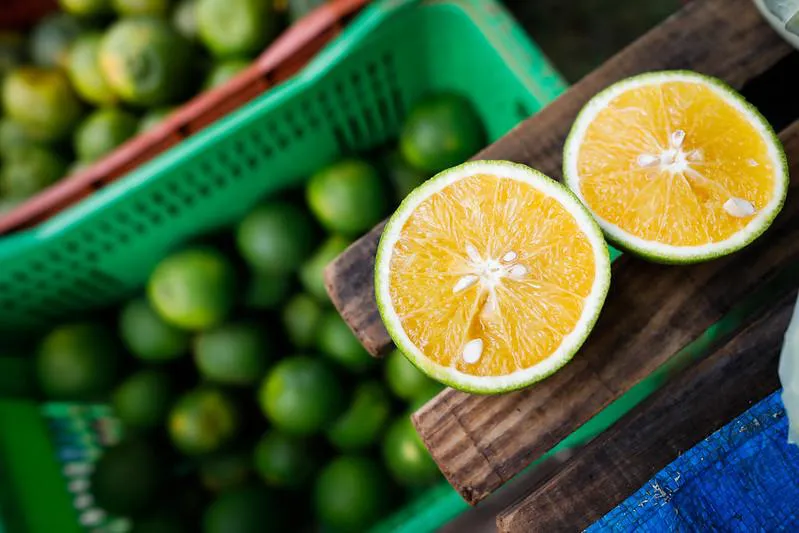 Crédito do BNB para produção de laranja em Sergipe