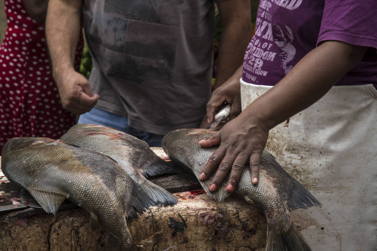 China supera o Brasil na piscicultura e deserto surpreende com produção de pescado