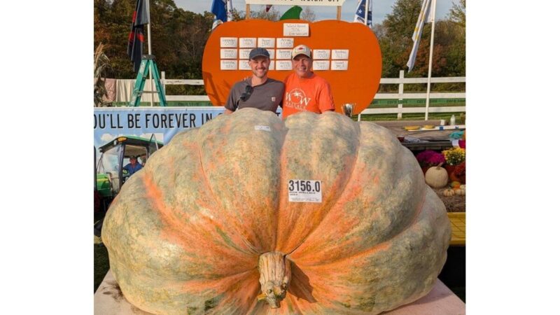 Abóbora gigante de 1.432 kg entra para o Guinness nos EUA