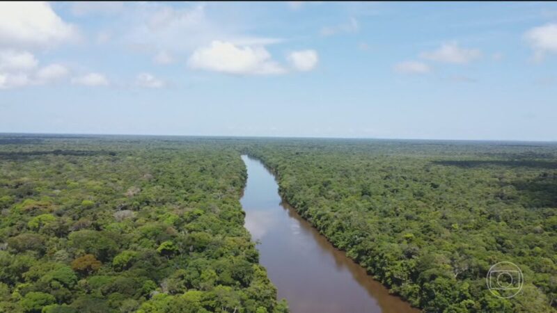 Governo alemão celebra vitória de Lula e destaca avanço na Amazônia