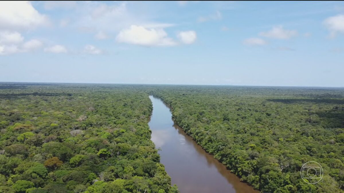 Governo alemão celebra vitória de Lula e destaca avanço na Amazônia