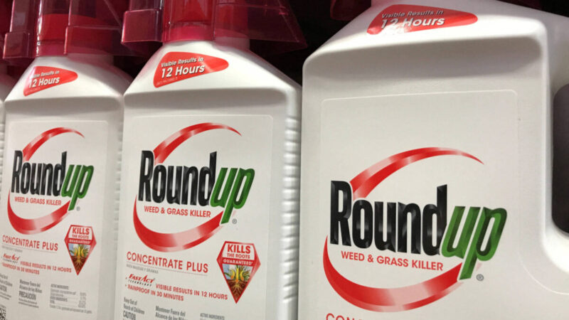 Bayer vence julgamento nos Estados Unidos sobre acusações ligando Roundup ao câncer