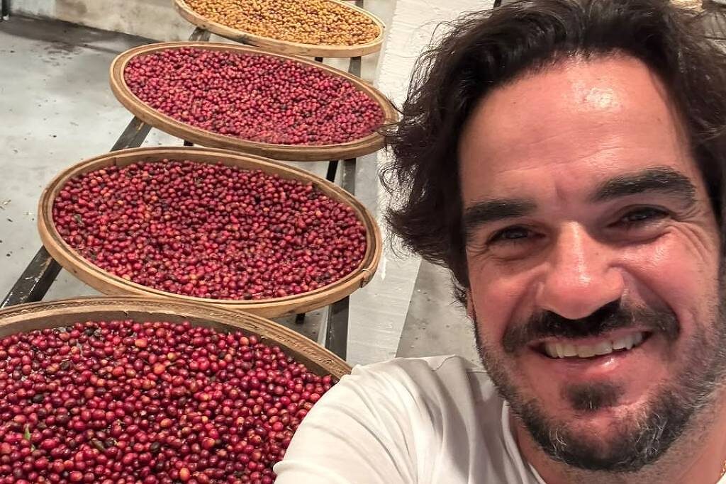 Café mineiro é vendido por valor recorde e surpreende mercado internacional