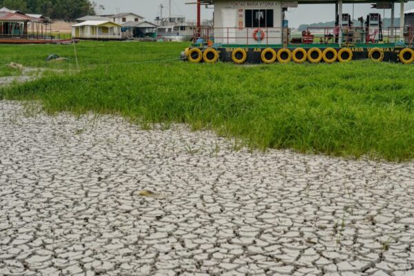 Seca no Amazonas: campanha busca 23 toneladas de alimentos e água