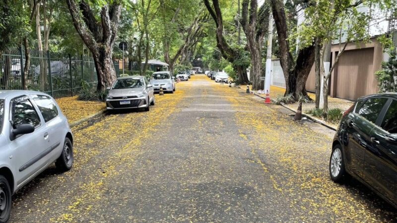 Por que outubro é o mês perfeito para correr nas ruas brasileiras