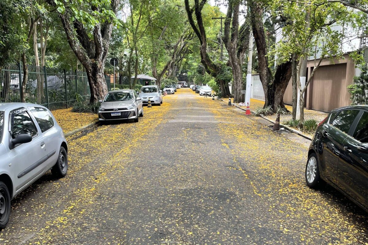 Por que outubro é o mês perfeito para correr nas ruas brasileiras