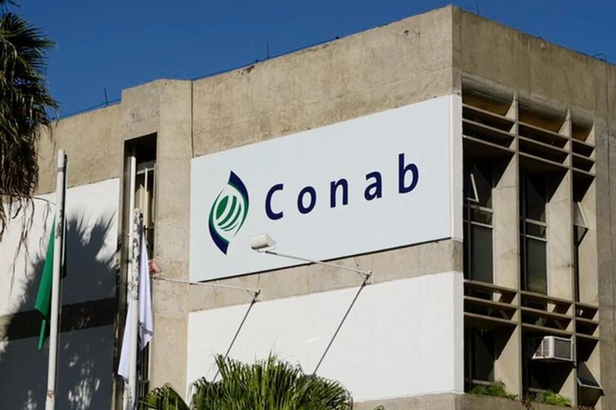Conab sofre ataques cibernéticos e alerta sobre instabilidade