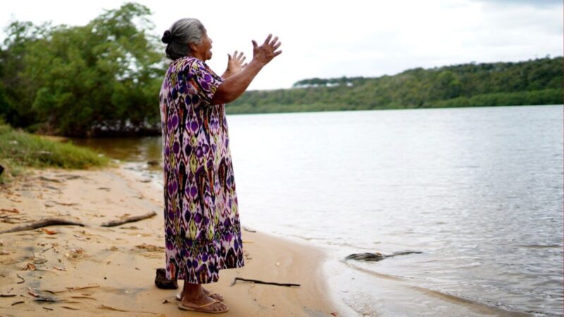 Cadeia do pescado une tradição e cooperativismo no ES
