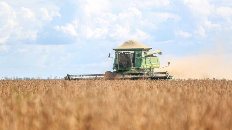 Os desafios do agronegócio que o próximo presidente precisará enfrentar