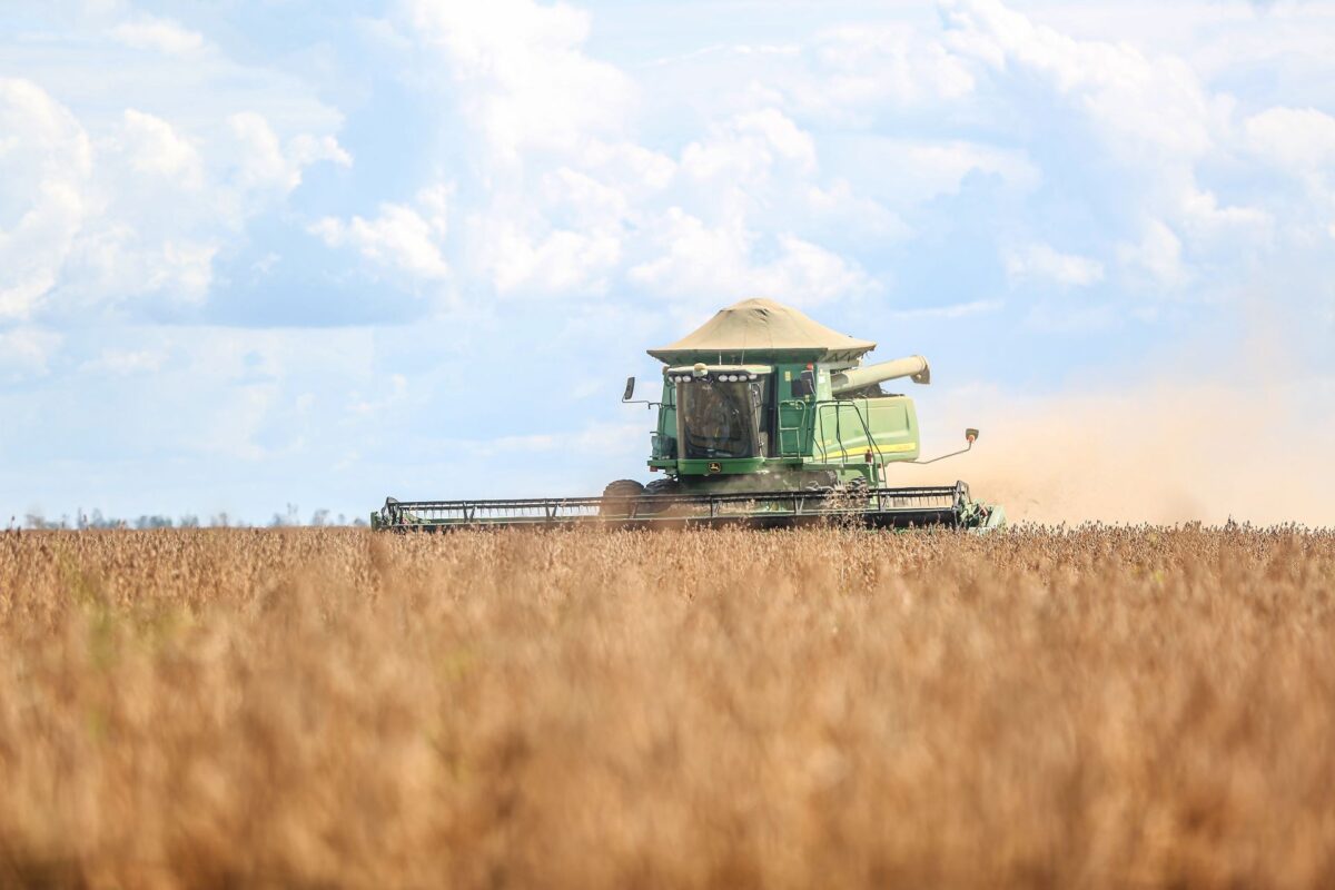 Os desafios do agronegócio que o próximo presidente precisará enfrentar