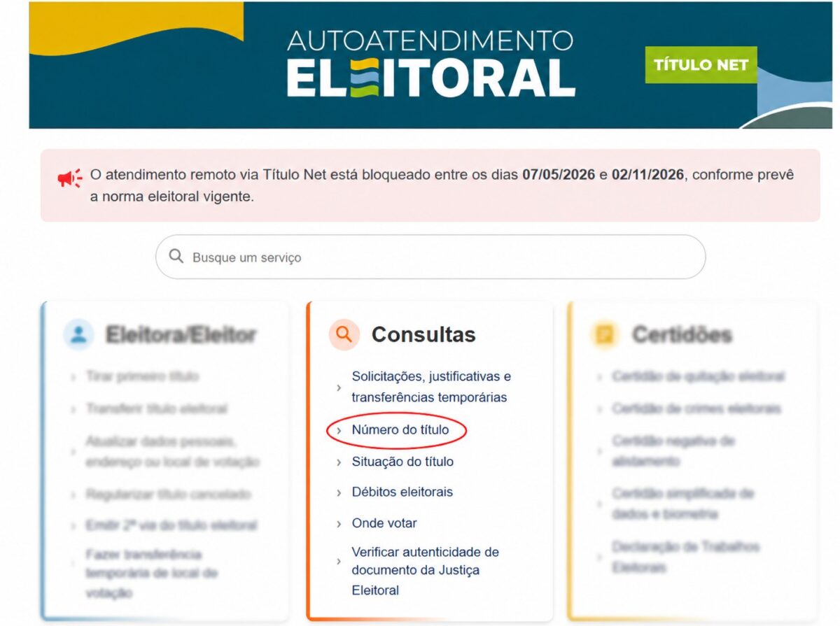Eleições 2026: saiba como consultar seu local de votação pela internet