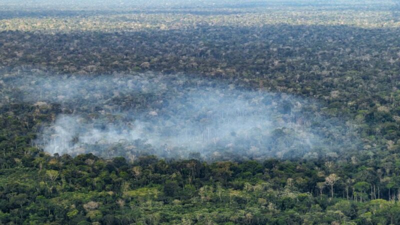 Estudo revela impacto humano direto nas emissões de carbono na Amazônia