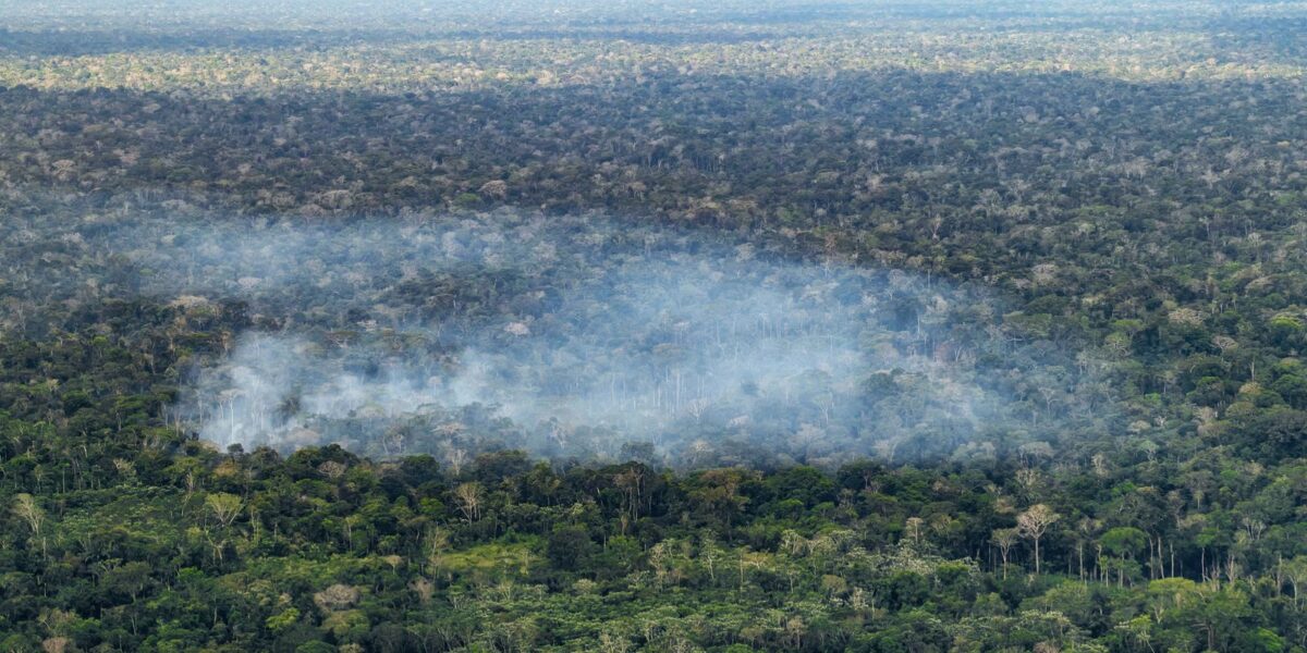 Estudo revela impacto humano direto nas emissões de carbono na Amazônia