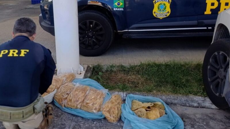 Homem é preso na BR-101 com carga ilegal de barbatanas e bexigas de tubarão