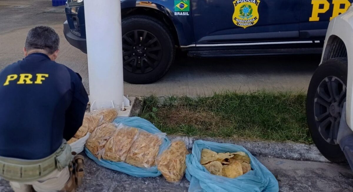 Homem é preso na BR-101 com carga ilegal de barbatanas e bexigas de tubarão