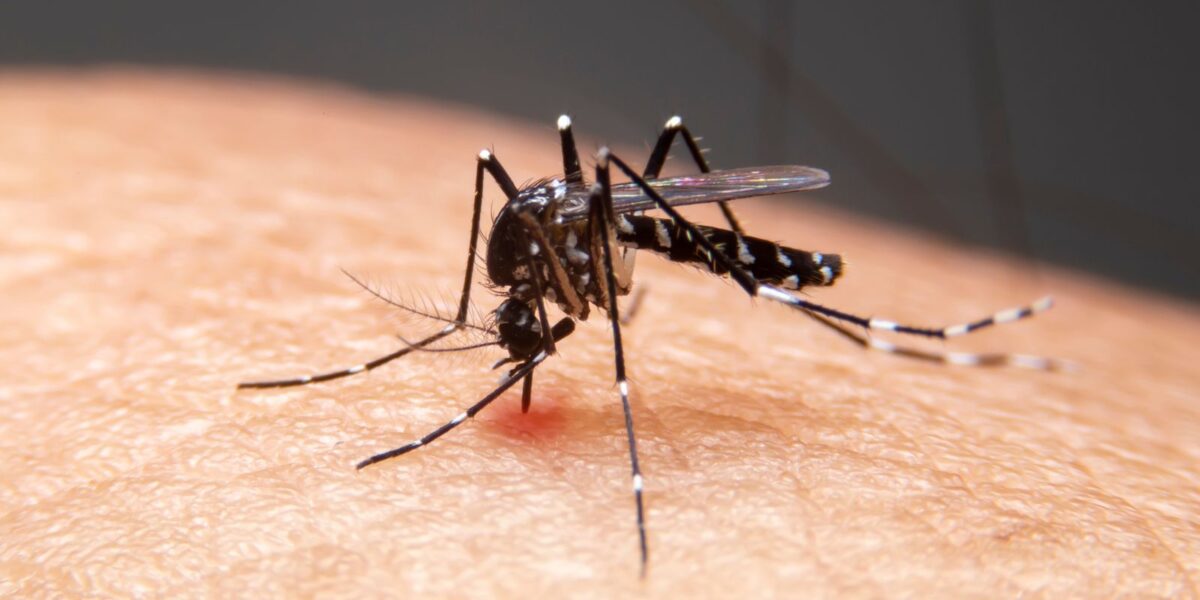 Mudanças climáticas aceleram avanço de doenças infecciosas no Brasil