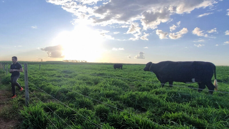 Agronegócio brasileiro registra alta na renda média e avanço na escolaridade