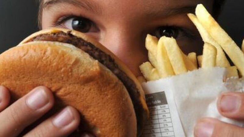 Oms lança primeiro guia contra obesidade infantil no mundo
