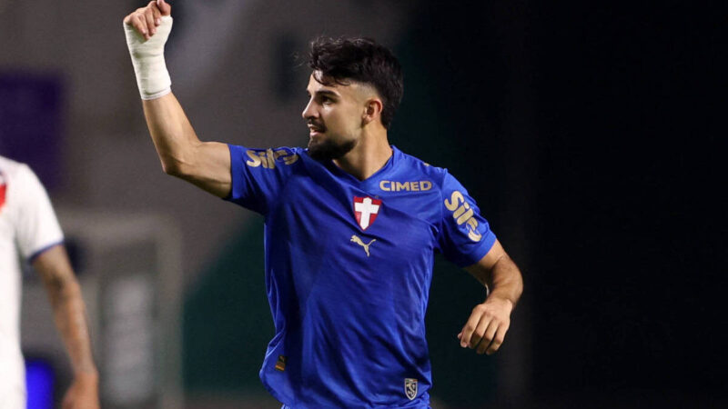 Palmeiras encosta na liderança do Brasileirão após tropeço do Flamengo