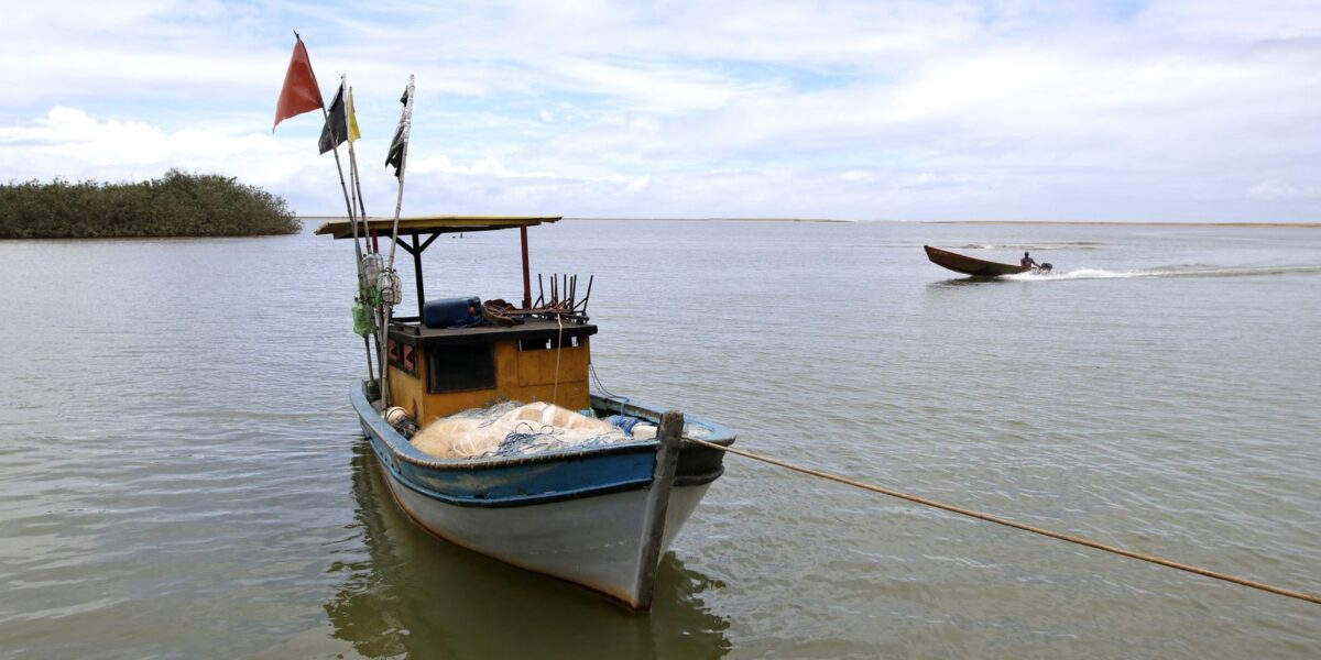 Pesca marinha na foz do Rio Doce é liberada após uma década de interdição