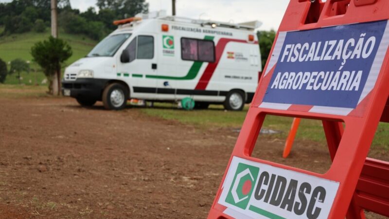 Santa Catarina confirma terceiro foco da doença de Newcastle e amplia área de monitoramento sanitário