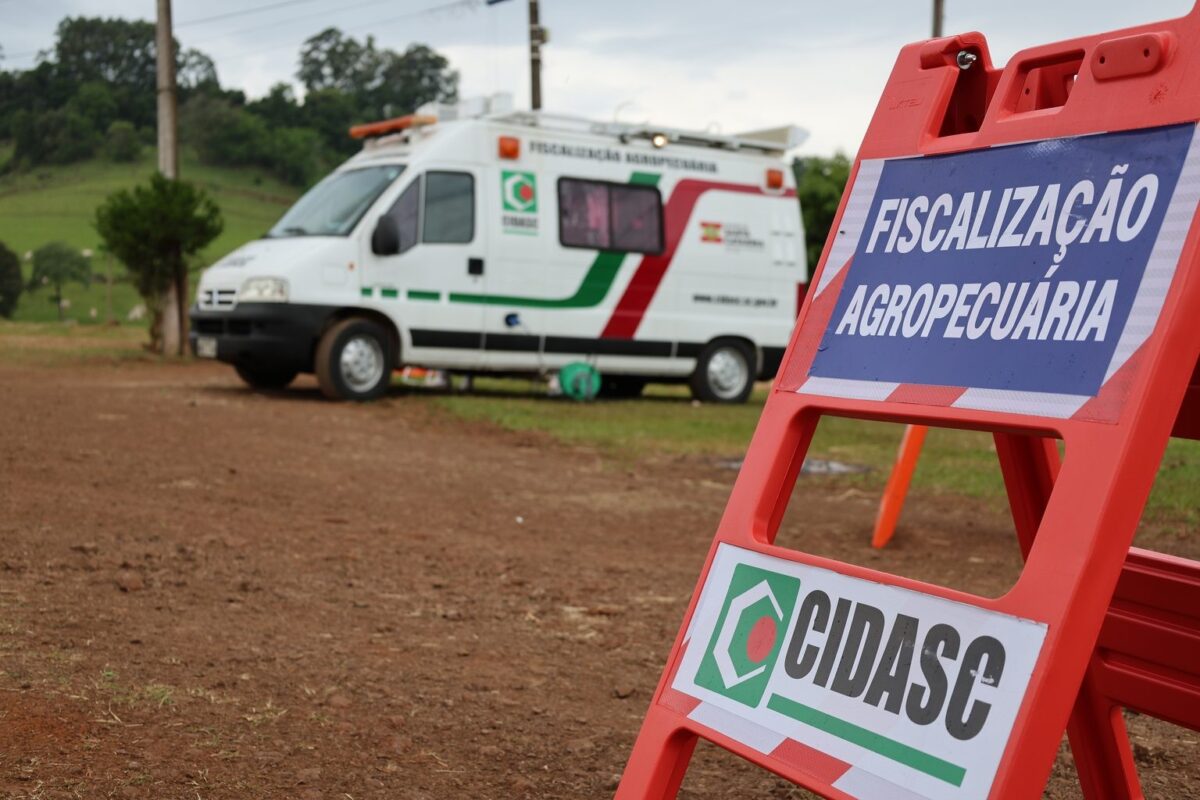 Santa Catarina confirma terceiro foco da doença de Newcastle e amplia área de monitoramento sanitário