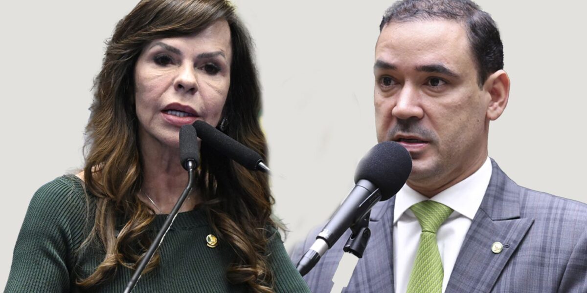 Eleições no Tocantins: votação define novo governador neste domingo