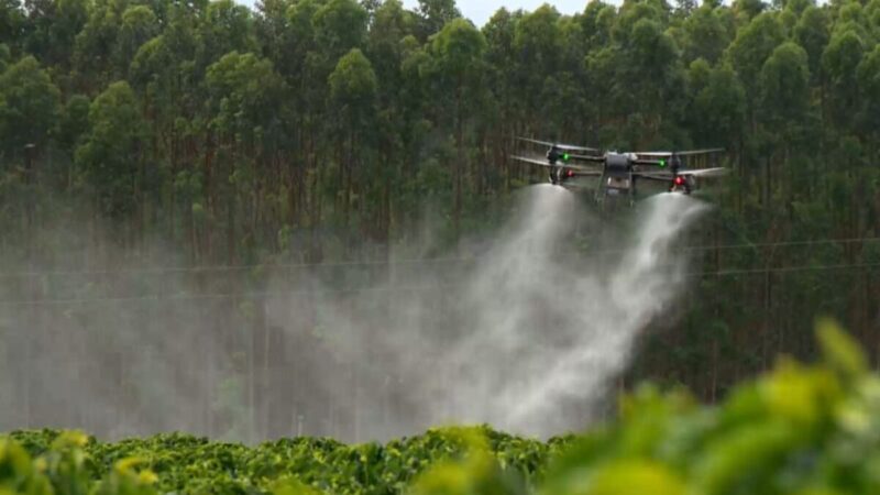 União Europeia avalia flexibilizar regras para o uso de agrotóxicos